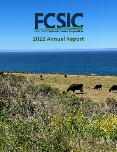 FCSIC 2022 Annual Report Cover