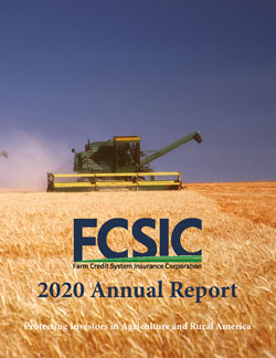 FCSIC 2020 Annual Report cover