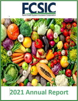 FCSIC 2021 Annual Report Cover 